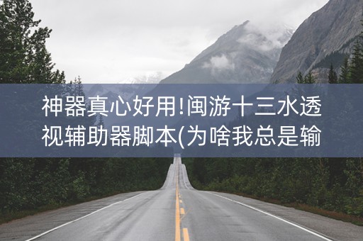 神器真心好用!闽游十三水透视辅助器脚本(为啥我总是输)
