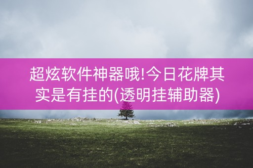 超炫软件神器哦!今日花牌其实是有挂的(透明挂辅助器)