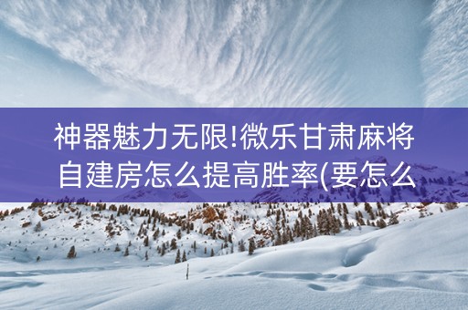 神器魅力无限!微乐甘肃麻将自建房怎么提高胜率(要怎么样拿到好牌)
