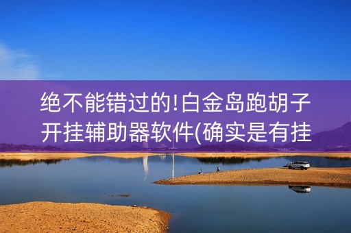 绝不能错过的!白金岛跑胡子开挂辅助器软件(确实是有挂)