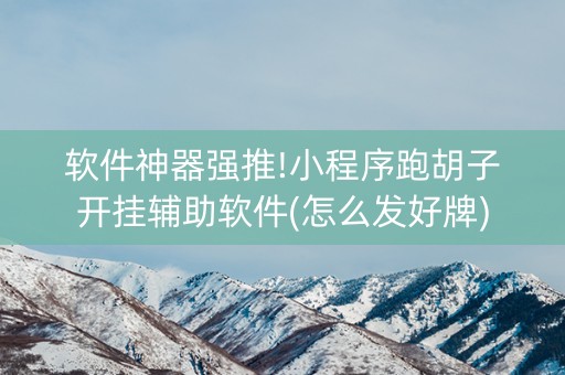 软件神器强推!小程序跑胡子开挂辅助软件(怎么发好牌)