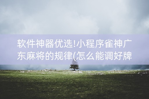 软件神器优选!小程序雀神广东麻将的规律(怎么能调好牌)