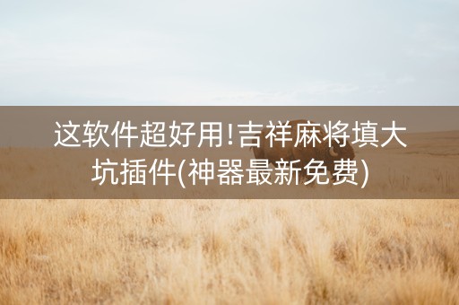 这软件超好用!吉祥麻将填大坑插件(神器最新免费)