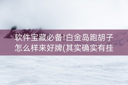 软件宝藏必备!白金岛跑胡子怎么样来好牌(其实确实有挂)