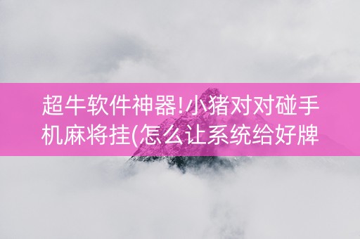 超牛软件神器!小猪对对碰手机麻将挂(怎么让系统给好牌)