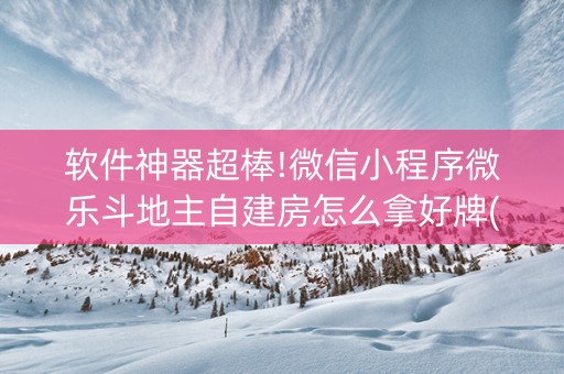 软件神器超棒!微信小程序微乐斗地主自建房怎么拿好牌(微乐助赢神器)