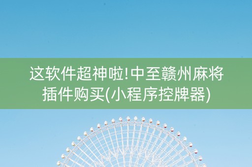这软件超神啦!中至赣州麻将插件购买(小程序控牌器)
