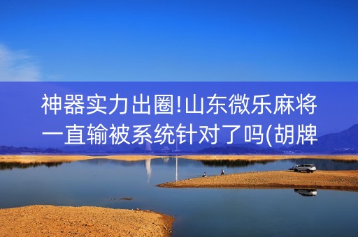 神器实力出圈!山东微乐麻将一直输被系统针对了吗(胡牌神器有猫腻吗)