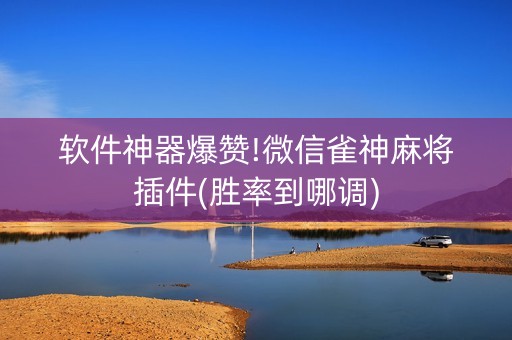 软件神器爆赞!微信雀神麻将插件(胜率到哪调)