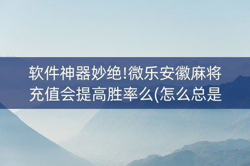 软件神器妙绝!微乐安徽麻将充值会提高胜率么(怎么总是输)