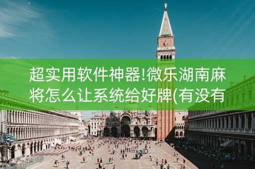 超实用软件神器!微乐湖南麻将怎么让系统给好牌(有没有技巧)