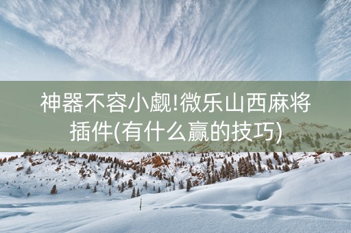 神器不容小觑!微乐山西麻将插件(有什么赢的技巧)