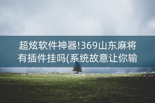 超炫软件神器!369山东麻将有插件挂吗(系统故意让你输)