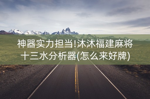 神器实力担当!沐沐福建麻将十三水分析器(怎么来好牌)