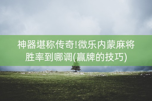 神器堪称传奇!微乐内蒙麻将胜率到哪调(赢牌的技巧)