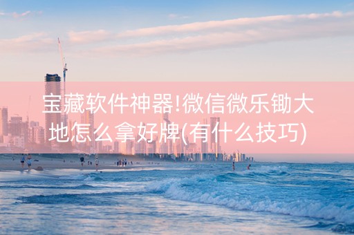 宝藏软件神器!微信微乐锄大地怎么拿好牌(有什么技巧)