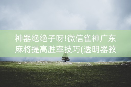 神器绝绝子呀!微信雀神广东麻将提高胜率技巧(透明器教程)