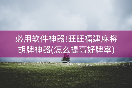 必用软件神器!旺旺福建麻将胡牌神器(怎么提高好牌率)