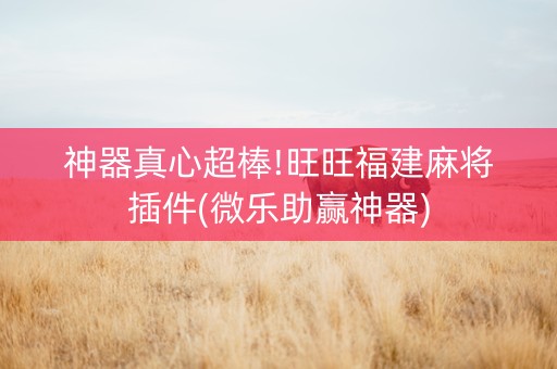 神器真心超棒!旺旺福建麻将插件(微乐助赢神器)
