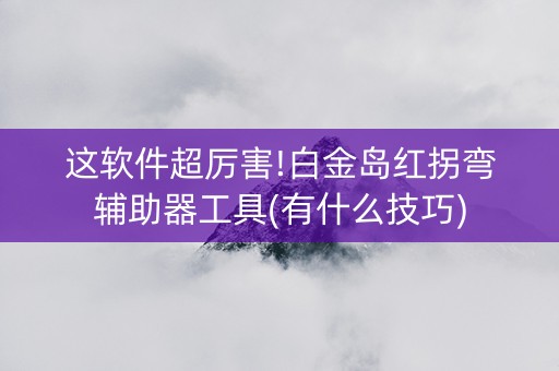 这软件超厉害!白金岛红拐弯辅助器工具(有什么技巧)