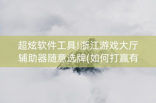 超炫软件工具!浙江游戏大厅辅助器随意选牌(如何打赢有插件吗)