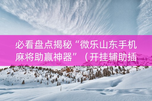 必看盘点揭秘“微乐山东手机麻将助赢神器”（开挂辅助插件)