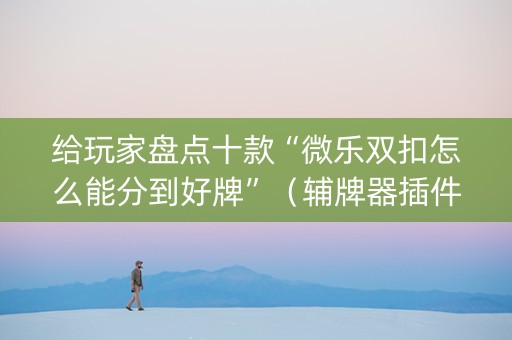 给玩家盘点十款“微乐双扣怎么能分到好牌”（辅牌器插件购买)