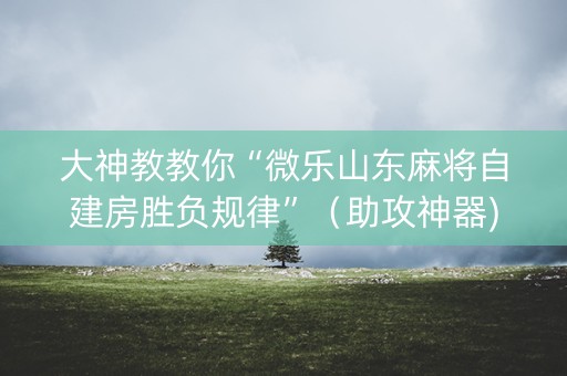 大神教教你“微乐山东麻将自建房胜负规律”（助攻神器)