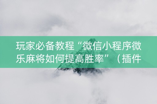 玩家必备教程“微信小程序微乐麻将如何提高胜率”（插件开挂免费AI)