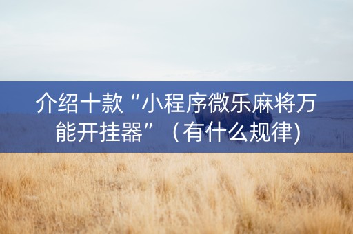 介绍十款“小程序微乐麻将万能开挂器”（有什么规律)