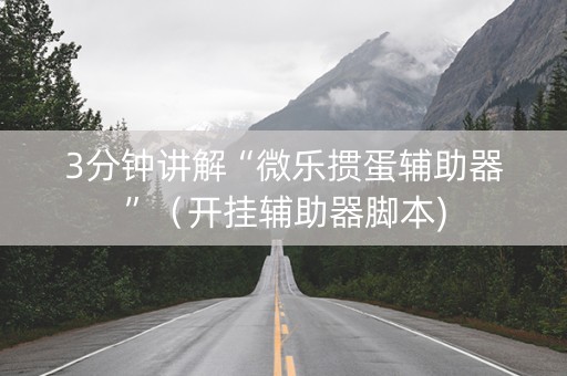 3分钟讲解“微乐掼蛋辅助器”（开挂辅助器脚本)