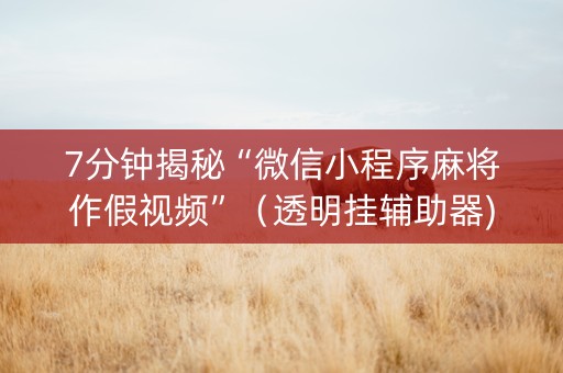 7分钟揭秘“微信小程序麻将作假视频”（透明挂辅助器)