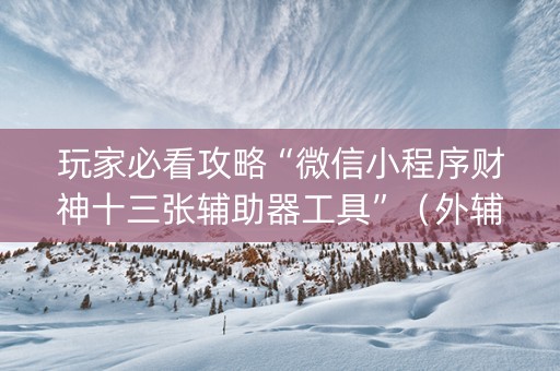 玩家必看攻略“微信小程序财神十三张辅助器工具”（外辅工具)