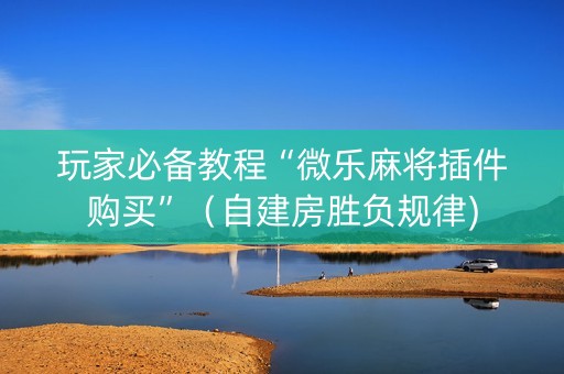 玩家必备教程“微乐麻将插件购买”（自建房胜负规律)