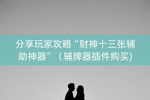 分享玩家攻略“财神十三张辅助神器”（辅牌器插件购买)