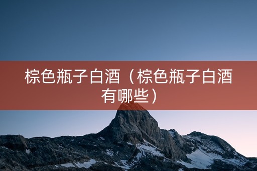 棕色瓶子白酒（棕色瓶子白酒有哪些）