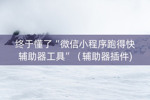 终于懂了“微信小程序跑得快辅助器工具”（辅助器插件)