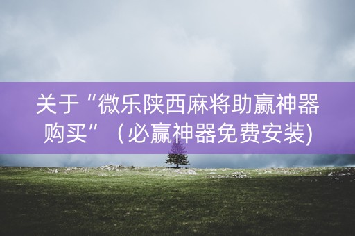 关于“微乐陕西麻将助赢神器购买”（必赢神器免费安装)