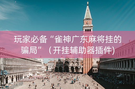 玩家必备“雀神广东麻将挂的骗局”（开挂辅助器插件)