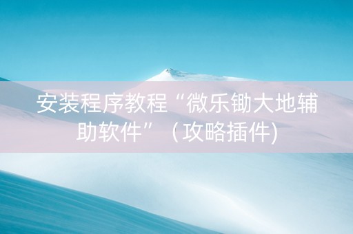 安装程序教程“微乐锄大地辅助软件”（攻略插件)