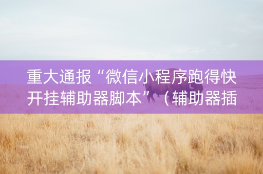 重大通报“微信小程序跑得快开挂辅助器脚本”（辅助器插件)