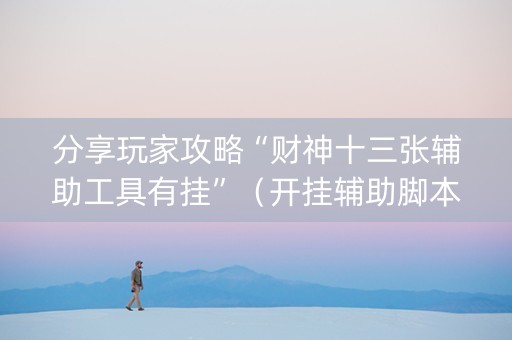 分享玩家攻略“财神十三张辅助工具有挂”（开挂辅助脚本)