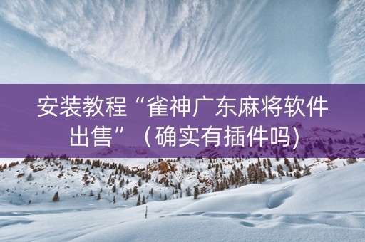 安装教程“雀神广东麻将软件出售”（确实有插件吗)