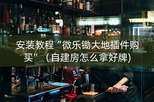 安装教程“微乐锄大地插件购买”（自建房怎么拿好牌)
