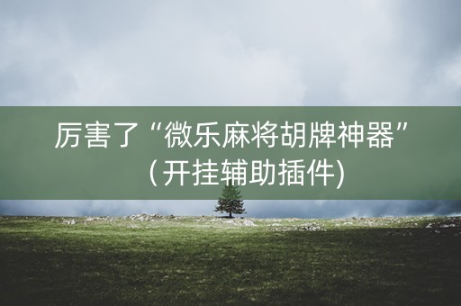 厉害了“微乐麻将胡牌神器”（开挂辅助插件)