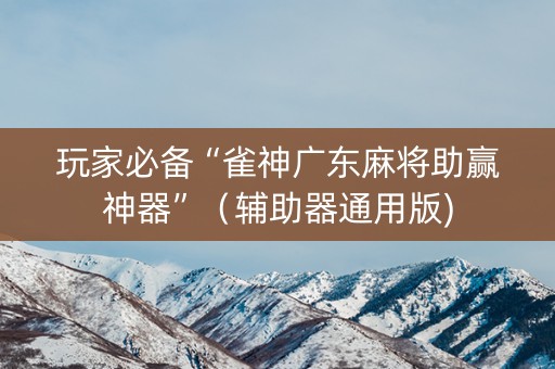 玩家必备“雀神广东麻将助赢神器”（辅助器通用版)