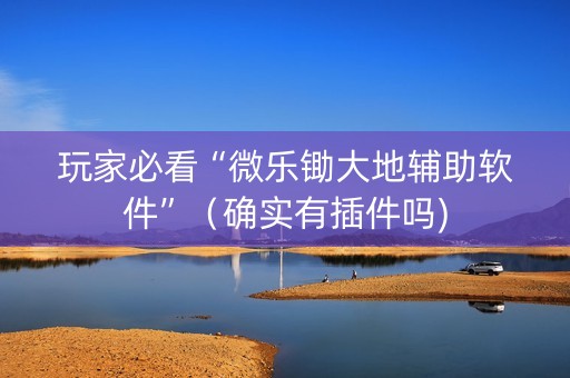 玩家必看“微乐锄大地辅助软件”（确实有插件吗)