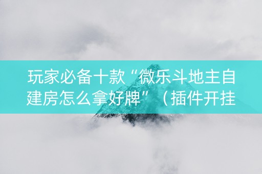 玩家必备十款“微乐斗地主自建房怎么拿好牌”（插件开挂免费AI)