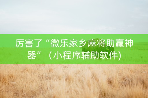 厉害了“微乐家乡麻将助赢神器”（小程序辅助软件)