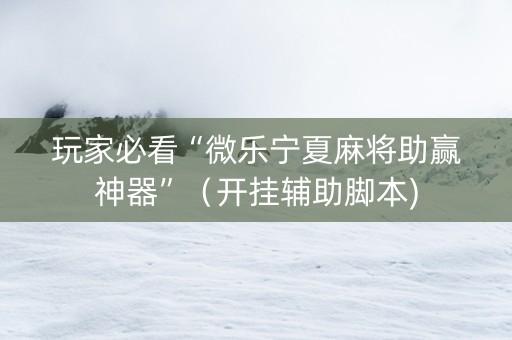 玩家必看“微乐宁夏麻将助赢神器”（开挂辅助脚本)